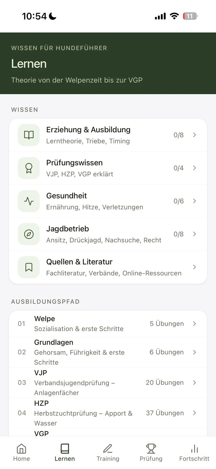 Voran! Lern-Screen mit Wissenskategorien und Ausbildungspfad
