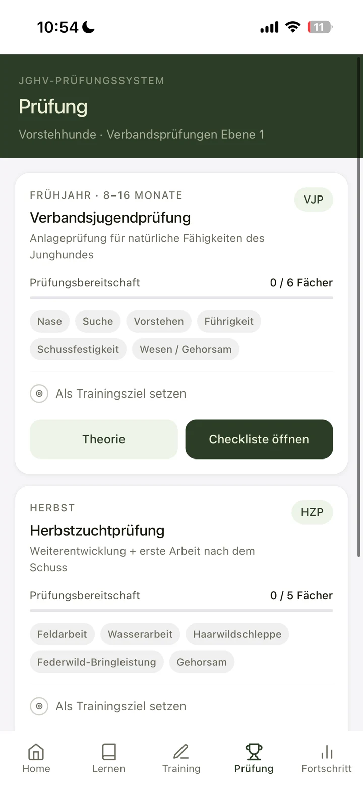 Voran! Prüfungs-Screen mit VJP- und HZP-Karten samt Fächern
