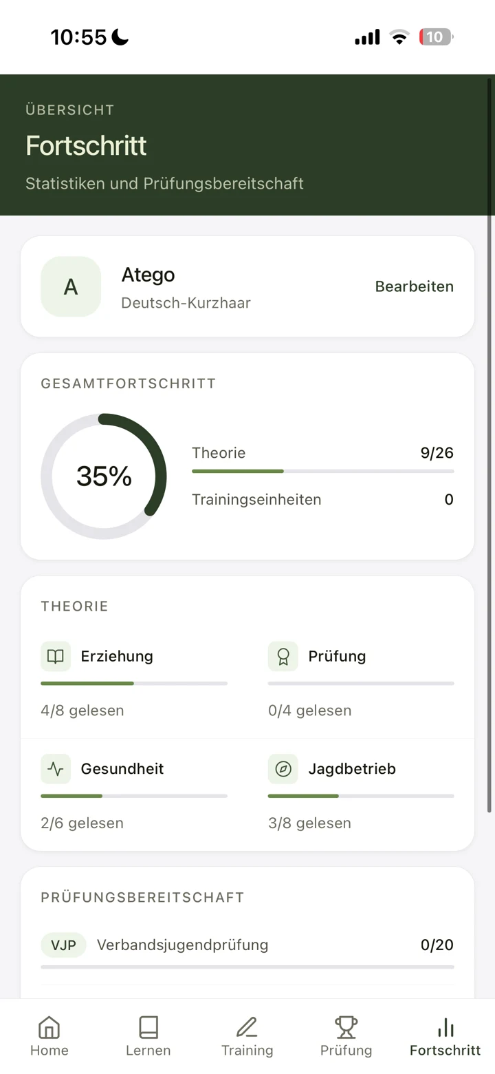 Voran! Fortschritts-Screen mit Gesamtfortschritt und Theorie-Statistik